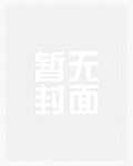 我的总监生涯（我的艳遇生涯）